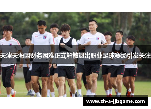 天津天海因财务困难正式解散退出职业足球赛场引发关注