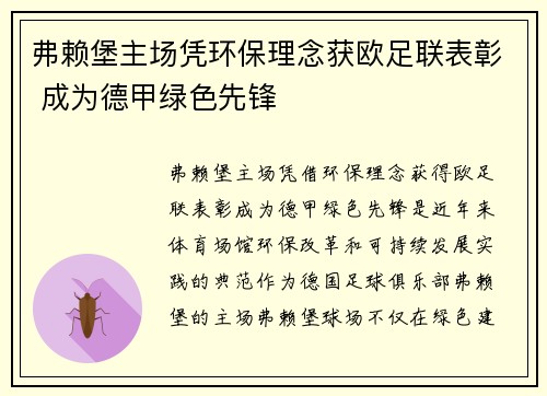 弗赖堡主场凭环保理念获欧足联表彰 成为德甲绿色先锋